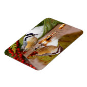 Roodkorrelig Nuthatch Magneet (Linkerzijde)