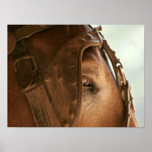 Roodmuil - OogPoster Poster