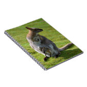 Roodnekkige behang en haar joey notitieboek (Rechterzijde)