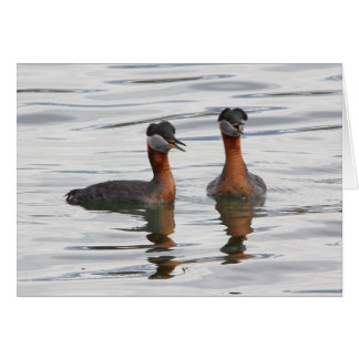Roodnekkige Grebe III