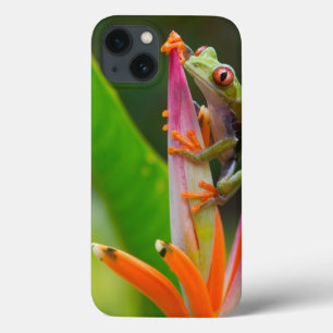 Roodogboomkikker, Costa Rica iPhone 13 Hoesje