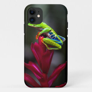 Roodogige Boomkikker iPhone 11 Hoesje