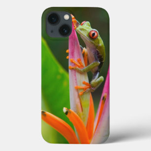 Roodogige boomkikker, Costa Rica iPhone 13 Hoesje