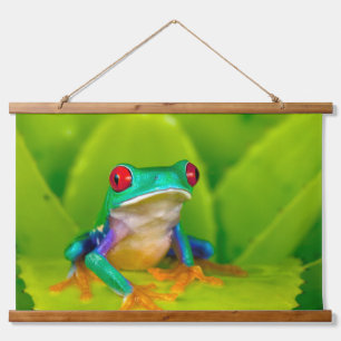 Roodogige boomkikker, Costa Rica Hangend Wandkleed