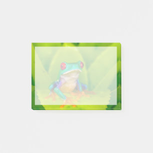 Roodogige boomkikker, Costa Rica Post-it® Notes
