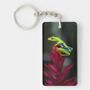 Roodogige Boomkikker Sleutelhanger