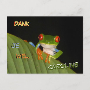 Roodogige Pronkerige Nacht Kikker Bedankt Ansichtk Briefkaart
