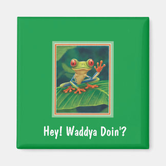 roodoogige boomkikkermagneet magneet