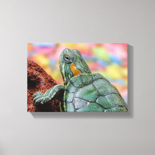 Roodoorschildpad Canvas Afdruk