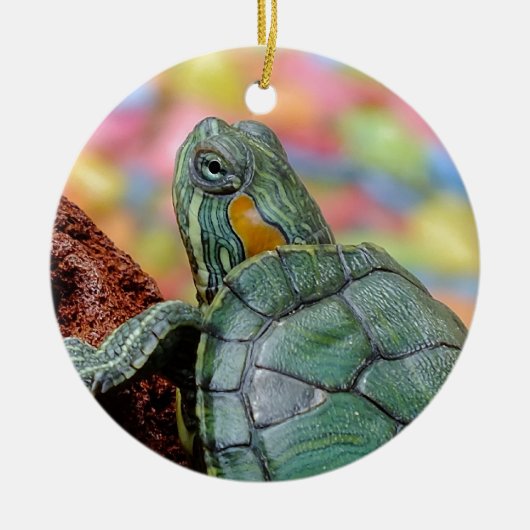 Roodoorschildpad Keramisch Ornament (Voorkant)