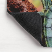 Roodoorschildpad Muismat (Hoek)