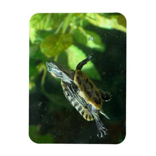 roodoorzeeschildpad magneet (Verticaal)