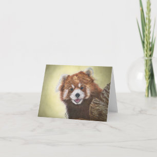 Roodpandnotaris Kaart