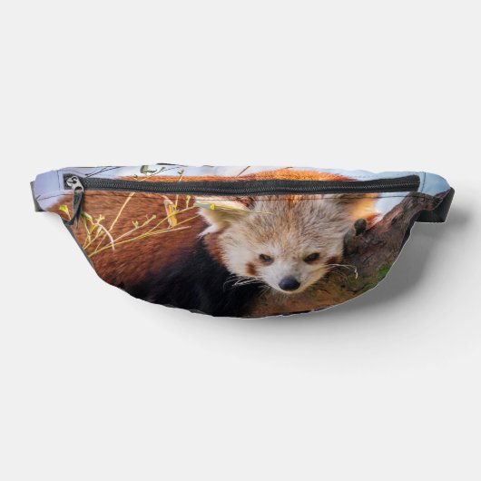 Roodrode panda heuptasje (Liggend)