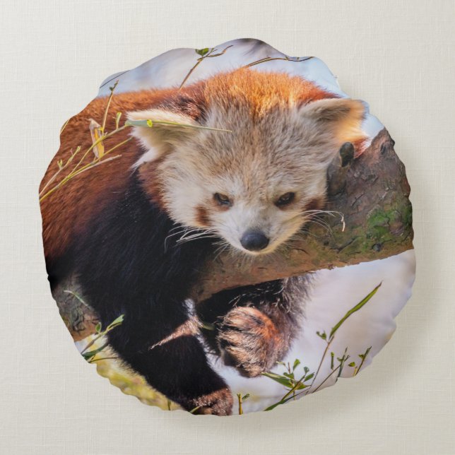 Roodrode panda rond kussen (Achterkant)