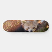 Roodrode panda skateboard (Horizontaal)