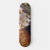 Roodrode panda skateboard (Voorkant)