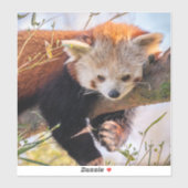 Roodrode panda sticker (Vel)