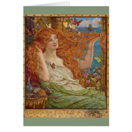  roodroos en bustvliegen; (Voorkant)