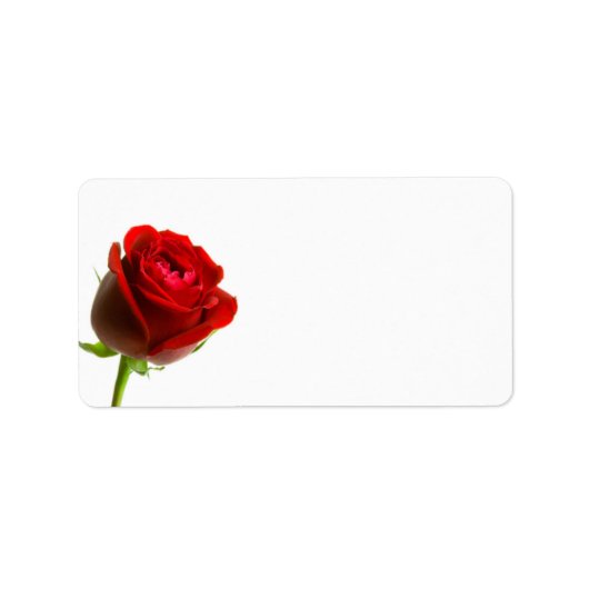 RoodrozenAdresetiketten Etiket (Voorkant)