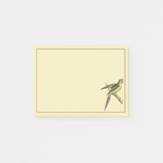 Roodschouderparkiet Post-it® Notes