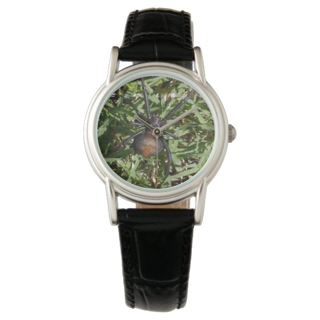 Roodspin op groene gras, horloge (Voorkant)
