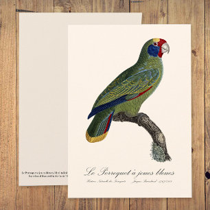 Roodstaartamazone, Amazona Brasiliensis Bedankkaart