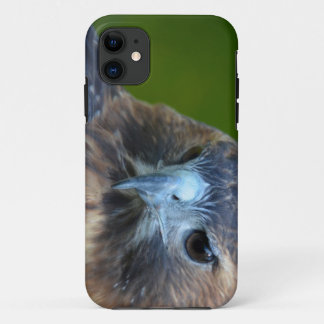 Roodstaartbuizerd iPhone 11 Hoesje