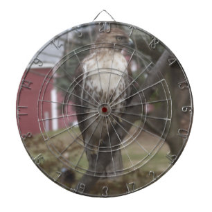 Roodstaartbuizerd Dart Bord Dartbord