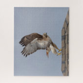 Roodstaartbuizerd in vlucht legpuzzel (Verticaal)
