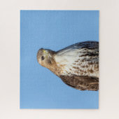 Roodstaartbuizerd in vlucht legpuzzel (Verticaal)