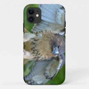 Roodstaartbuizerd spreidt vleugels iPhone 11 hoesje