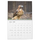 Roodstaartbuizerds 2026 kalender (Mar 2027)