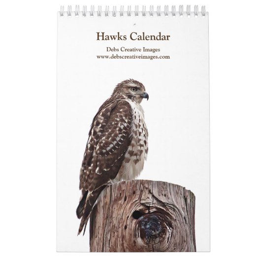 Roodstaartbuizerds 2026 kalender (Hoes)