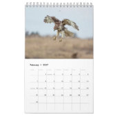 Roodstaartbuizerds 2026 kalender (Feb 2027)