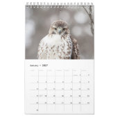 Roodstaartbuizerds 2026 kalender (Jan 2027)