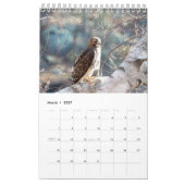 Roodstaartbuizerds 2026 kalender (Mar 2027)