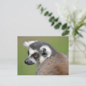 Roodstaartcitroenmoer Briefkaart (Staand voorkant)