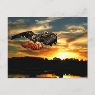 Roodstaarthaai Briefkaart