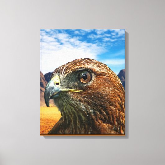 Roodstaarthaai Canvas Afdruk (Voorkant)
