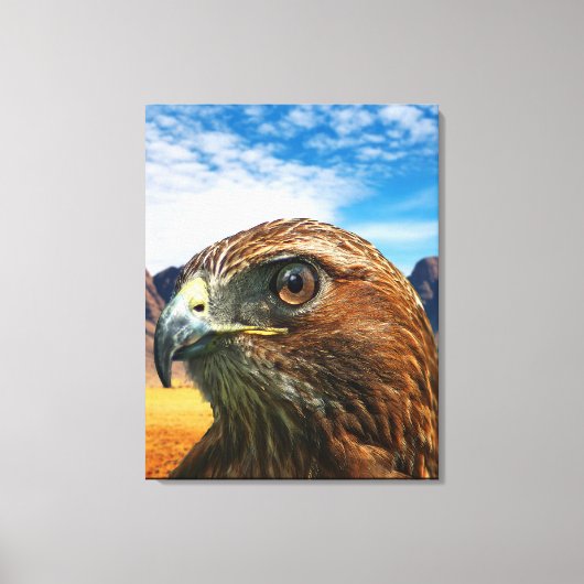 Roodstaarthaai Canvas Afdruk (Voorkant)