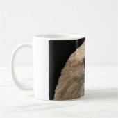 Roodstaarthaai Koffiemok (Links)