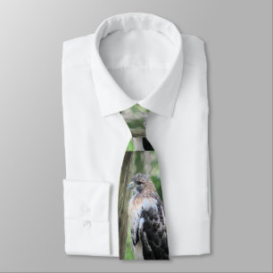 Roodstaarthaai Stropdas