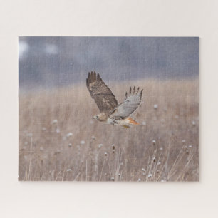 Roodstaarthaai tijdens de vlucht legpuzzel