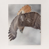 Roodstaarthaai tijdens de vlucht legpuzzel (Verticaal)