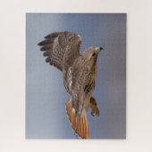 Roodstaarthaai tijdens de vlucht legpuzzel (Verticaal)