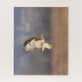 Roodstaarthaai tijdens de vlucht legpuzzel (Verticaal)