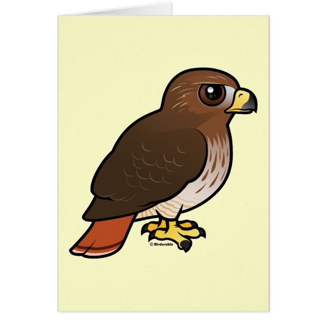 RoodstaartHawk (Voorkant)