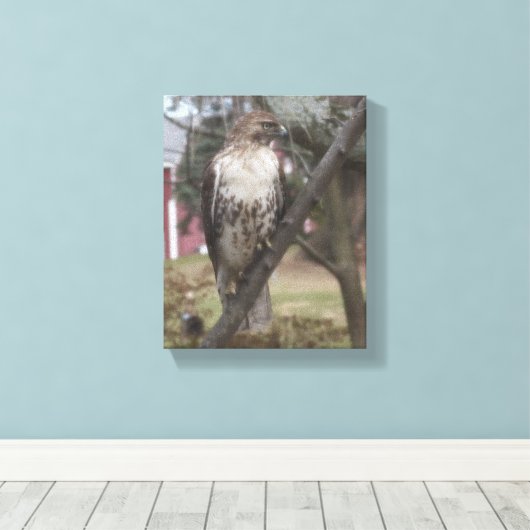 RoodstaartHawk 8 x 10 inch Canvas Afdruk (Insitu (Houten vloer))