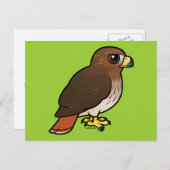 RoodstaartHawk Briefkaart (Voorkant / Achterkant)